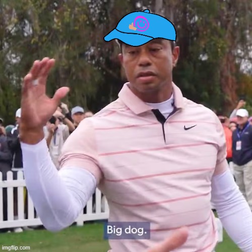 A meme of Tiger Woods in a pink striped polo shirt waving, with a blue cap sticker featuring a pink circular logo placed on his head and a caption reading 'Big dog.'