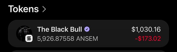 A crypto portfolio screen showing 'The Black Bull' token holding 5,926.87558 ANSEM valued at $1,030.16, down $173.02.