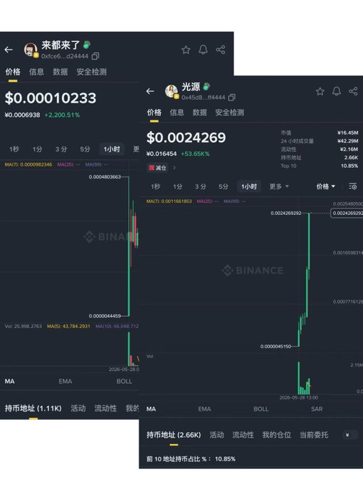The image depicts a black and white computer screen displaying a stock trading dashboard with two lines, one representing a positive price movement of $0.22 and another negative at -1. The text in Chinese can be inferred from the context surrounding the image. The image focuses on the main content related to the post about Binance and its stock prices shown on this dashboard.