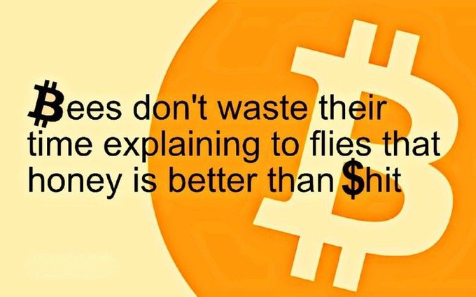 A motivational meme with a Bitcoin logo and orange background displaying the quote: 'Bees don't waste their time explaining to flies that honey is better than $hit.'