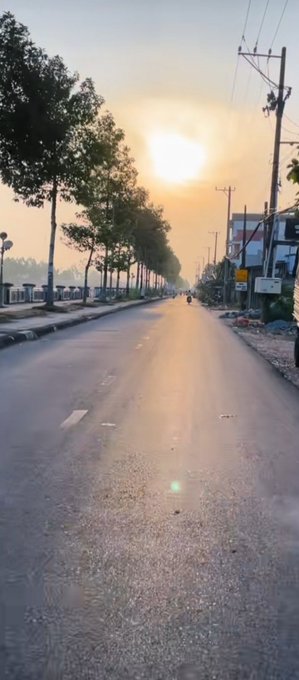 A serene sunrise or sunset scene on a tree-lined road with the sun glowing brightly in the hazy sky, a lone motorcyclist riding away in the distance, and utility poles lining the right side.