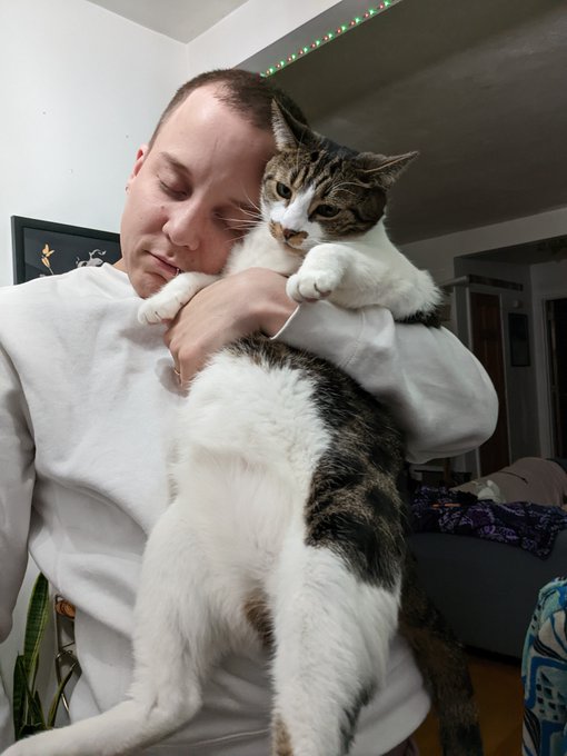 A person in a white sweatshirt is affectionately cuddling a relaxed tabby and white cat that is draped across their arms in a home setting.