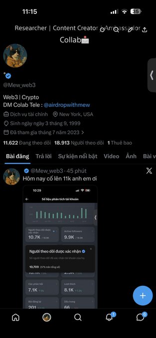 A screenshot of a Twitter/X profile for @Mew.web3, a "Researcher | Content Creator" working on a "DM Collab" for "Web3 | Crypto," showing follower counts and a post titled "Hôm nay cổ lên 11k anh em ơi".