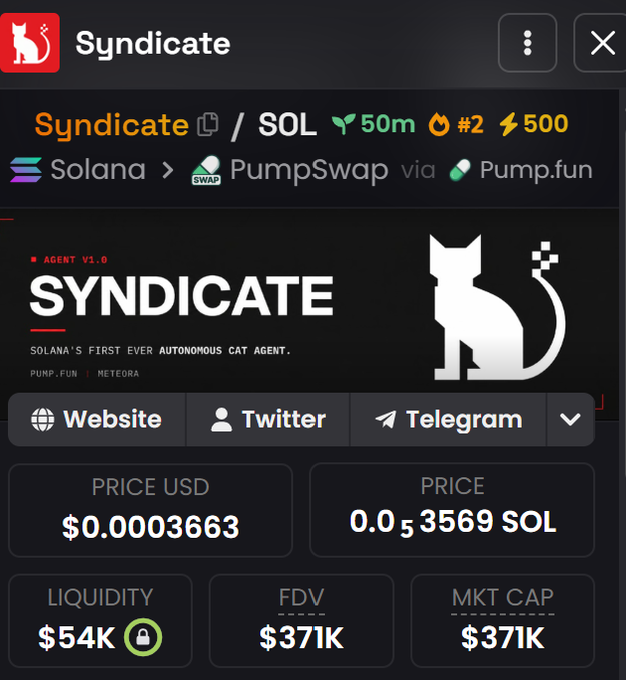 The image shows a cryptocurrency token page for "Syndicate" on PumpSwap via Pump.fun, displaying a price of $0.00003663 USD (0.00003569 SOL), with $54K liquidity, $371K FDV/market cap, and branding as "Solana's First Ever Autonomous Cat Agent." The accompanying post promotes the token's recent developer buyback of 25+ SOL and growing holder base of 3,600+, aligning with the token's details shown in the chart.