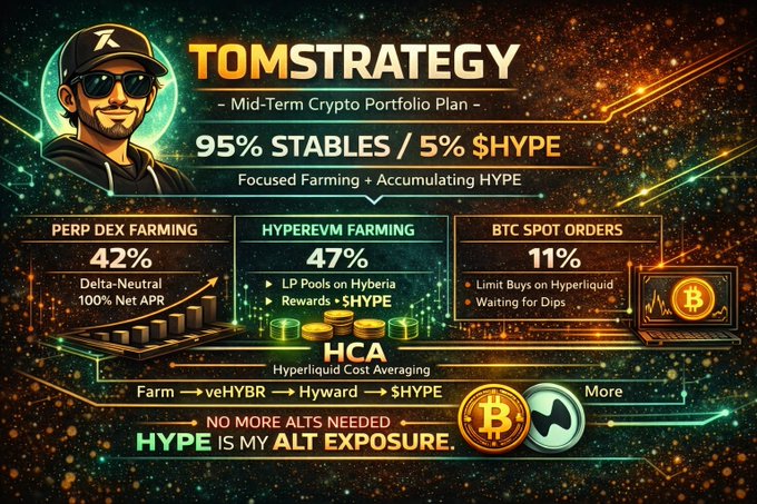 A graphic titled 'TOMSTRATEGY - Mid-Term Crypto Portfolio Plan' showing a 95% STABLES / 5% $HYPE allocation, broken down into 42% PERP DEX Farming, 47% HYPEREVM Farming, and 11% BTC Spot Orders.