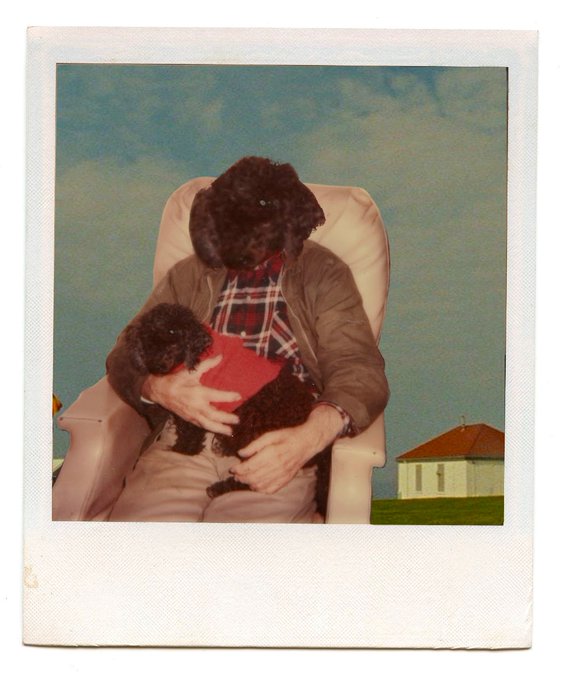 A Polaroid-style photo showing a person whose face has been replaced with a black poodle's head, wearing a brown jacket over a plaid shirt and holding another poodle in their lap while seated in a chair.