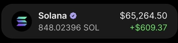The image shows a crypto wallet display for Solana (SOL) with a verified badge, holding 848.02396 SOL valued at $65,264.50, showing a gain of +$609.37. This appears to be a screenshot someone shared in response to an airdrop giveaway scam, presumably to prove they have a Solana wallet to participate.