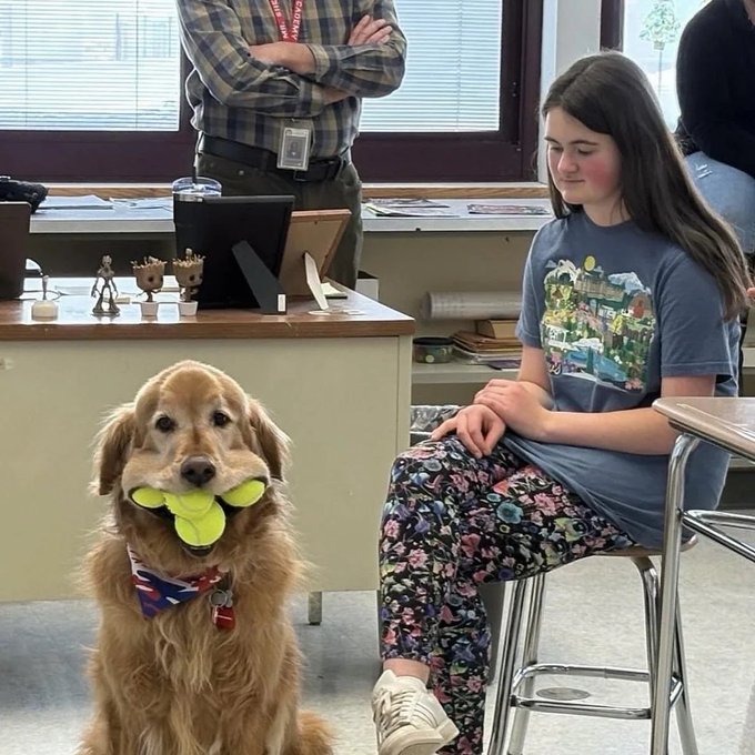 A golden retriever wearing an American flag bandana holds a yellow flower-shaped toy in its mouth while sitting next to a smiling girl in a classroom setting, with an adult standing in the background.