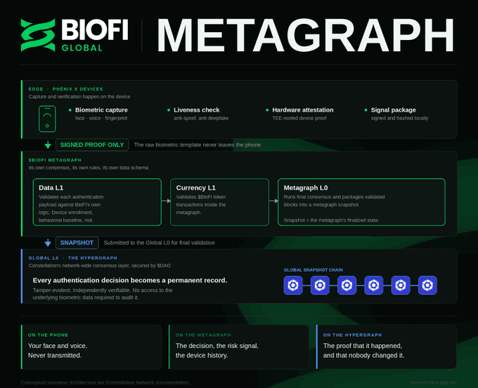 An architectural diagram from BioFi Global detailing the Metagraph authentication flow, which processes biometric data on-device (Edge), runs consensus rules through Data/Currency/Metagraph L0 layers, and submits snapshots every ~45 seconds to the Global L0 Hypergraph secured by $DAG. The image visually supports the post's claim that Metagraph is a purpose-built authentication system (not a token transfer network), showing how face/voice never leave the phone while tamper-evident decisions become permanent records on the Global Snapshot Chain.