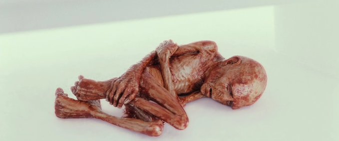 A small, reddish-brown sculpted figurine of a curled human-like form lying on a white surface, resembling a polymer clay or 3D-printed artwork.