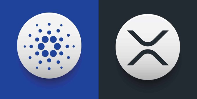The image features two cryptocurrency logos side by side: the Cardano (ADA) logo, shown as a circular pattern of dots on a blue background, and the XRP logo, displayed as an "X" symbol on a dark background. Accompanying the post "It's time for Cardano," the image visually compares ADA against XRP, highlighting Cardano as a focal point in the crypto conversation.