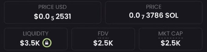 A screenshot of cryptocurrency pricing stats shows: $0.0₅2531 USD, 0.0₇3786 SOL, $3.5K liquidity (locked), $2.5K FDV, and $2.5K MKT CAP. The image aligns with the post's claim of promoting a memecoin sitting at a $2.5K market cap.