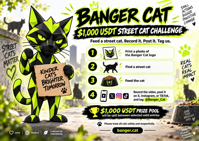 A promotional graphic for the 'BANGER CAT $1,000 USDT STREET CAT CHALLENGE' featuring a green and black geometric cat holding a 'KINDER CATS BRIGHTER TOMORROW' sign, with instructions to print the logo, find a street cat, feed it, and post the video tagging @Banger_Cat.