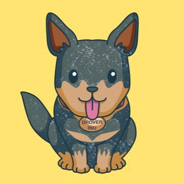 A cartoon illustration of a smiling blue and tan dog wearing a bone-shaped tag reading "DROVER INU" sits against a yellow background. The image represents the "Drover Inu" meme token referenced in the post, accompanying a "#BabyDoge TO THE MOON" promotional tweet tagged to @DroverToken.