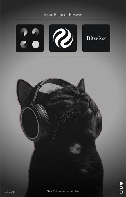 A black and white graphic showing a black cat wearing headphones beneath the logos for Four Pillars and Bitwise, titled 'New Validators on Injective.'