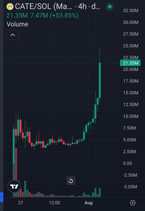 A candlestick chart from TradingView shows the CATE/SOL pair surging 53.85% to 21.35M (up 7.47M) over a 4-hour timeframe, with a sharp upward spike breaking out from a sideways consolidation—visually reinforcing the celebratory "Well done, $CATE holders" message.