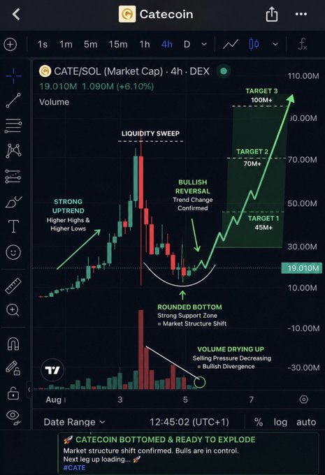 A 4-hour DEX chart of $CATE/SOL showing a market cap of 19.010M (+6.10%), annotated with a bullish technical analysis highlighting a "Rounded Bottom" formation, liquidity sweep, and volume drying up at the 18–20M support zone, with upside targets marked at 45M, 70M, and 100M+.

The chart visually supports the post's analysis by illustrating the completed correction, the reclaimed 18–20M market cap support zone (matching the current 19.010M level), the weakening downside momentum, and the emerging rounded bottom structure that signals potential reversal.