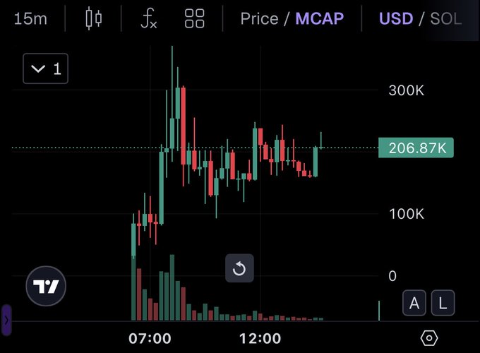 A cryptocurrency trading chart displayed on the TradingView platform shows price movements in USD for what appears to be a token, with candlestick data plotted on a 15-minute timeframe ranging from 0 to 300K, peaking around 07:00 and stabilizing near 206.87K by 12:00, though the image itself doesn't visually reference the $Shadow bald eagle story mentioned in the caption.
