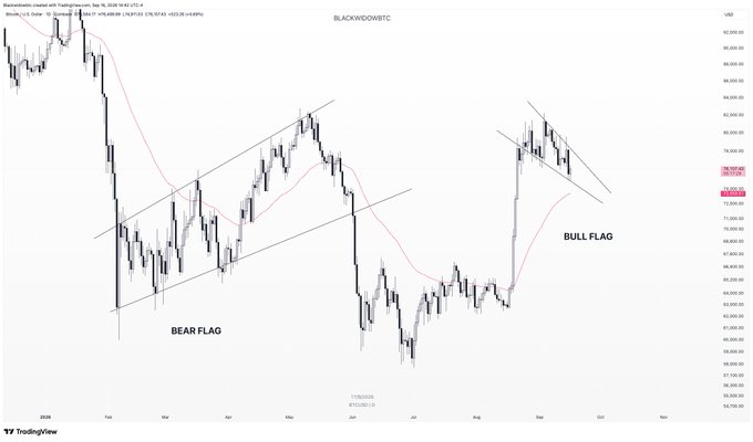 A TradingView chart of BLACKWIDOWBTC.USDC (Bitcoin) on Binance shows two technical patterns labeled "BEAR FLAG" (February-June 2025) and "BULL FLAG" (September 2025), with price action consolidating in both setups before recent breakdowns. The caption "They faded my bear flag AND my bull flag" reflects the trader's frustration that both predicted continuation patterns failed to play out as expected.