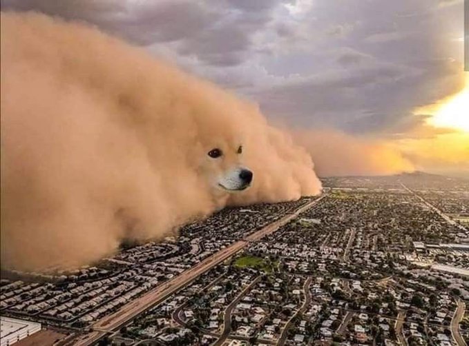 A massive dust storm looms over a sprawling cityscape, cleverly edited to resemble the face of a Shiba Inu dog emerging from the cloud — a visual nod to the Dogecoin ($DOGE) mascot as the meme coin rallies toward $1.00.