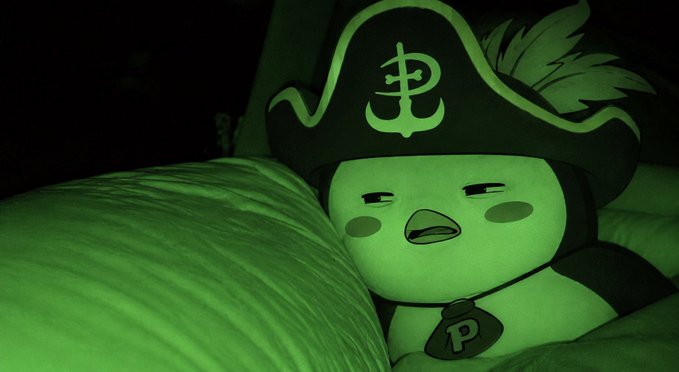 A plush toy wearing a pirate hat with an anchor symbol, photographed in green-tinted darkness while lying against a striped fabric.
