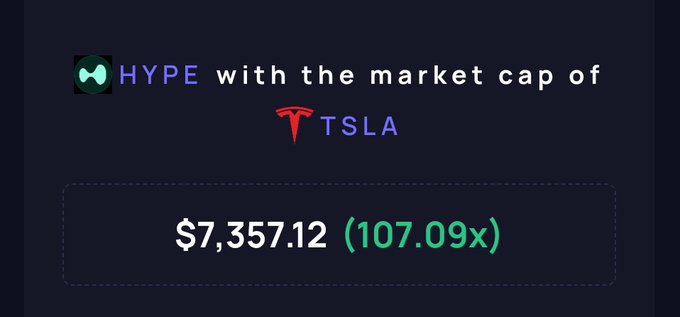The image displays a dark blue sign that reads "HYPE with the market cap of TESLA $107,099". This implies that the company's stock value is currently at its highest price in history or if it were halved, it would be $57.5 per share. The text indicates an analysis of the current stock price and suggests that a 100x buy-and-hold strategy would flip the TESLA stock at this level, making it easier for HYPE to enter the market.