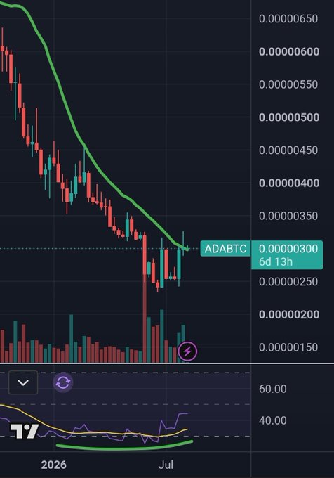 A candlestick chart displays the ADABTC pair hovering near the 0.00000300 level over a 6-day 13-hour timeframe, with volume bars below and a momentum indicator (around the 40-60 range) at the bottom, visually confirming the post's observation that ADA is testing the 20-week MA—a critical support level not revisited since October. The price action near this key moving average (highlighted in green) aligns with the post's claim that the upcoming week may be decisive for a potential trend reversal in ADA.