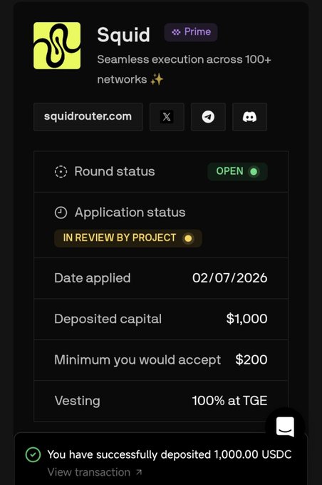 A digital investment platform interface for 'Squid' displays a round status of 'OPEN' and an application status of 'IN REVIEW BY PROJECT', with a deposited capital of $1,000 and a message confirming a successful deposit of 1,000.00 USDC.