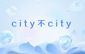 The image shows a light blue sky-themed background with clouds and a shield icon, featuring the text "city不city" in the center. It appears to be a branding/logo graphic, though it doesn't directly relate to the financial topic about managing $1 million or asset allocation strategies mentioned in the accompanying post.