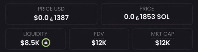 The image displays cryptocurrency metrics showing a token priced at $0.041387 USD (0.061853 SOL), with $8.5K liquidity, $12K FDV, and $12K market cap.

This screenshot visually supports the post's claim of a coin with a $12,000 market value, serving as "proof" to lure users into a classic pump-and-dump scheme promising unrealistic 1000x returns to $10 million.