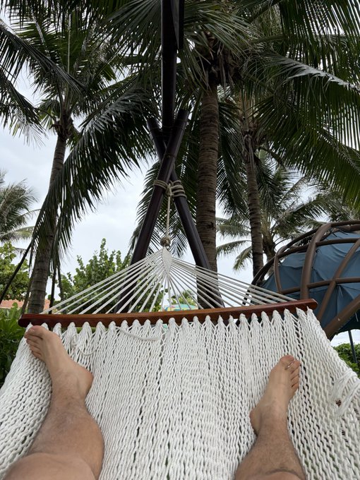 A first-person view of someone relaxing in a white rope hammock between palm trees, with their bare feet visible in the foreground.