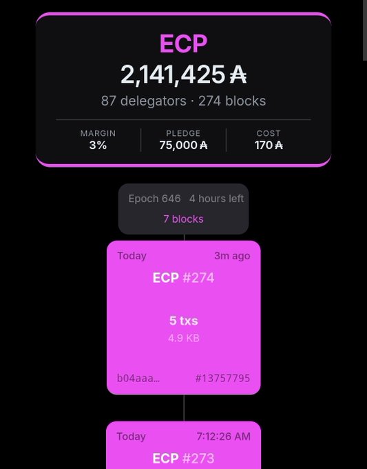A cryptocurrency or blockchain dashboard screen showing 'ECP 2,141,425 A' with 87 delegators, 274 blocks, and a margin of 3%.