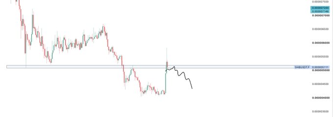 A candlestick chart of the SHIB/USD pair shows a sharp decline from highs near 0.00002900 down to approximately 0.00000550, with the current price hovering around the 0.00000610–0.00000620 support level highlighted by a "SHIBUSDT.P" annotation. The visible downtrend and consolidation near lows illustrate the speculative, high-risk nature of the small $SHIB position referenced in the post.