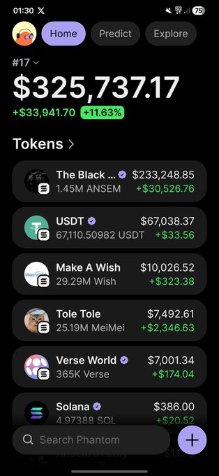 A Phantom wallet screenshot shows a portfolio worth $325,737.17, up $33,941.70 (+11.63%), with "The Black" meme coin holding $233,248.85 worth of 1.45M $ANSEM tokens leading the gains. The image supports the claim that $ANSEM will generate eight-figure wealth by showcasing it as the dominant holding driving impressive portfolio growth.
