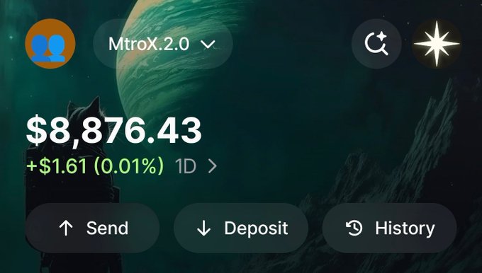 A crypto wallet interface displays a balance of $8,876.43 for account "MtroX.2.0" with a slight 24-hour gain of +$1.61 (0.01%), featuring Send, Deposit, and History options. The image illustrates the successful recovery of funds following a wallet compromise.