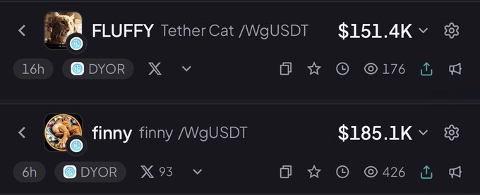 The image shows two cryptocurrency listings on what appears to be a DEX tracker: "FLUFFY" (Tether Cat/WgUSDT) with a $151.4K market cap and 176 views, and "finny" (finny/WgUSDT) with a $185.1K market cap and 426 views, both tagged as 16h and 6h old respectively. This visually supports the post's claim about monitoring these two cat-themed meme coins on the @Stable chain, both sitting in the $150-200K market cap range as potential runners.