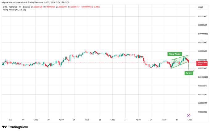 A TradingView 1-hour candlestick chart of SHIB/USDT on Binance showing a rising wedge pattern with a 'Target' annotation pointing to 0.00000413.