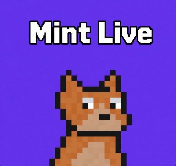 A pixel art image shows an orange fox character on a purple background with the text 'Mint Live' at the top.