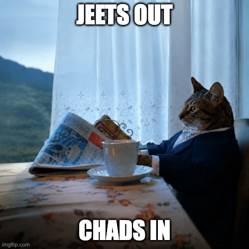 A cat in a suit sits at a table with tea and a newspaper, with text reading "JEETS OUT" at the top and "CHADS IN" at the bottom.