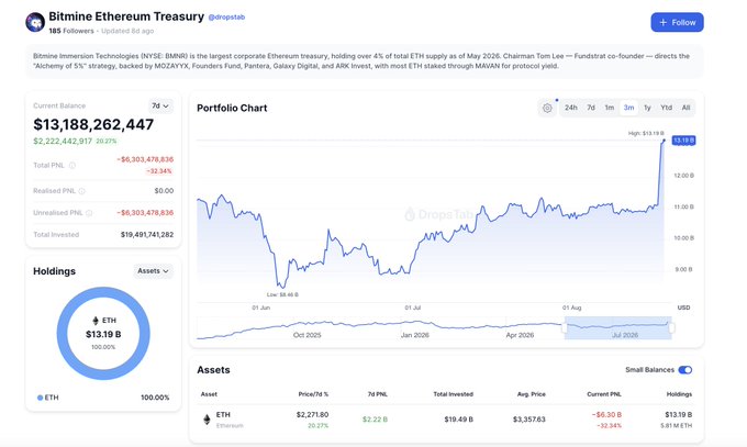 A DropsTab analytics page for Bitmine Ethereum Treasury (BMNR) shows a current balance of $13.19B in ETH, which is 4% of total ETH supply, with a portfolio chart showing price growth from $2.22B to its current value.