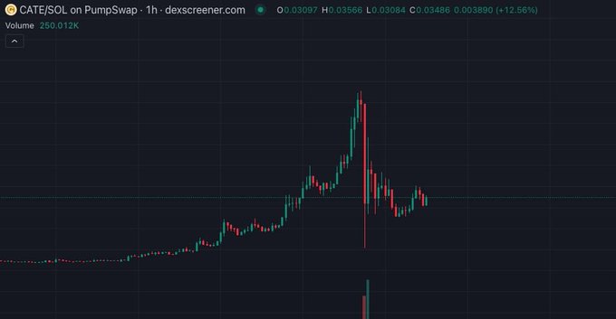 A candlestick chart on dexscreener.com shows the CATE/SOL token on PumpSwap with a 1-hour timeframe, displaying a sharp price spike followed by a steep crash, currently at $0.03097 (+12.56%) with 250.012K volume. The volatile pump-and-dump pattern visually illustrates the "What even" sentiment and caution to "trade carefully degens."