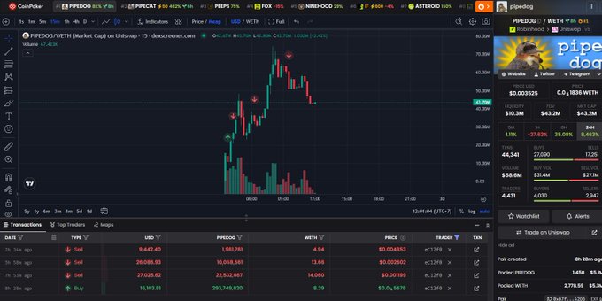 A CoinPulse trading interface showing the $PIPEDOG/WETH chart on the Polygon network with a Robinhood portfolio sidebar, displaying recent sell and buy transactions.