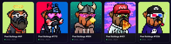 A display of five pixel art bulldog characters, each labeled 'Pixel Bulldogs' followed by a number (#69, #1713, #854, #401, #1026) with '39XA' and 'BS3Y' tags below.