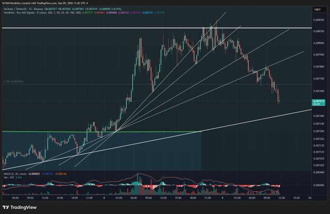 A TradingView 15-minute candlestick chart of VeChain (VET/USD) shows the asset trading around $0.08512, with price action pulling back to test a rising trendline support near $0.085 after rejecting from highs near $0.089, illustrating the "little pullback" mentioned in the bullish post that frames the dip as a healthy retracement within a larger uptrend rather than a breakdown.