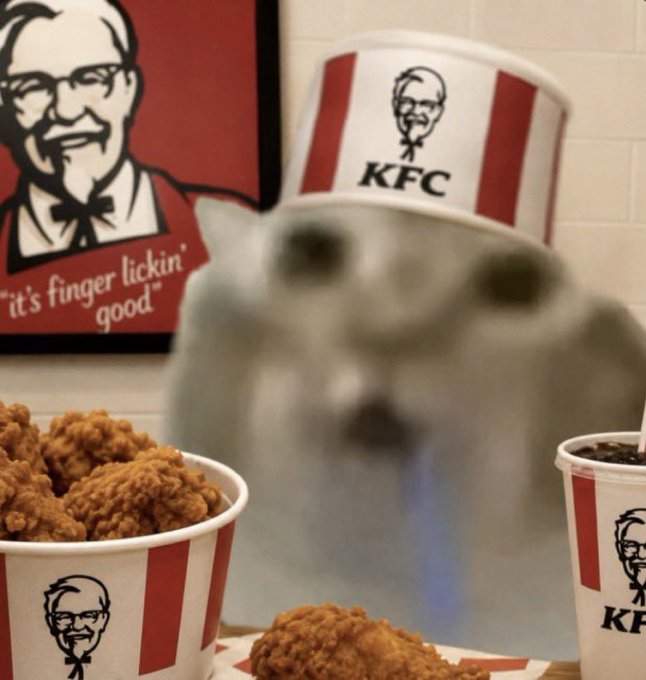 A blurry cat wearing a KFC bucket hat sitting in front of KFC branding and fried chicken buckets in what appears to be a meme image.