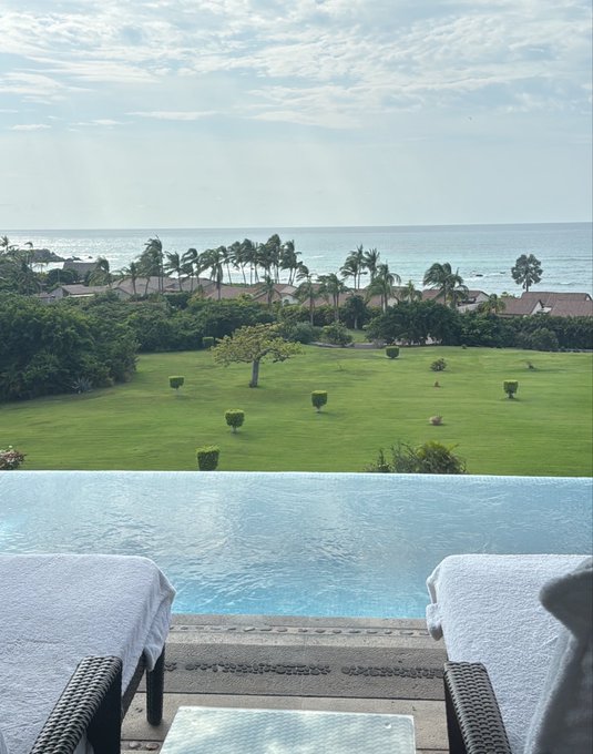 A scenic view from a resort featuring lounge chairs by an infinity pool overlooking a green lawn, palm trees, and the ocean.