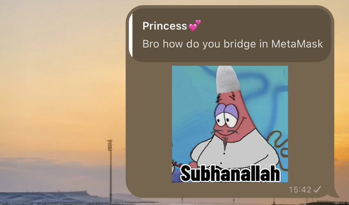 A chat message from 'Princess' reading 'Bro how do you bridge in MetaMask' accompanied by a Patrick Star meme labeled 'Subhanallah.'