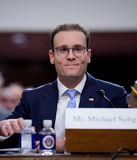 A photo of Michael Selig sitting at a hearing table with a nameplate reading 'Mr. Michael Selig,' wearing a dark suit with a blue tie and an American flag pin, smiling slightly.