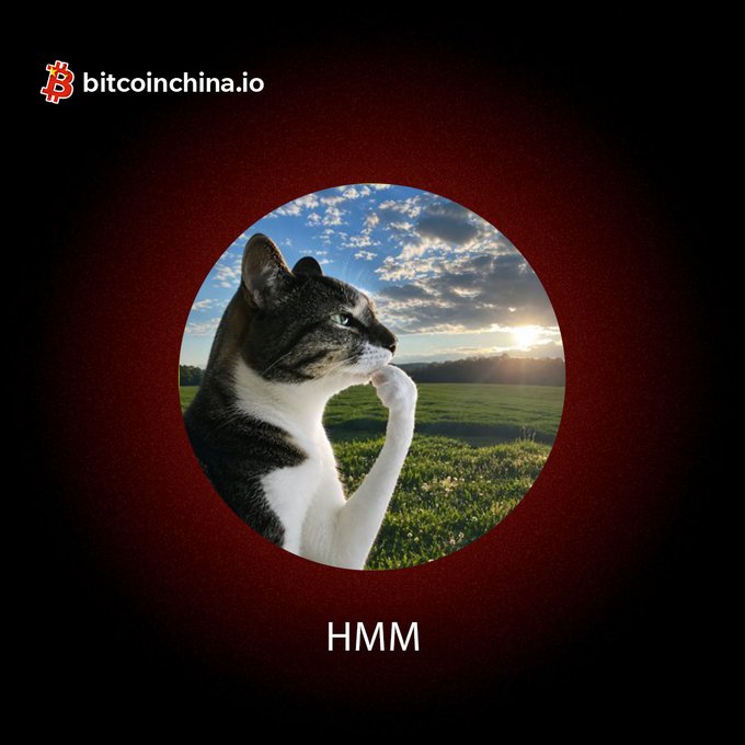 A tabby cat in profile against a sunset field backdrop, framed in a circular cutout with the text "bitcoinchina.io" in the top left and "HMM" at the bottom.