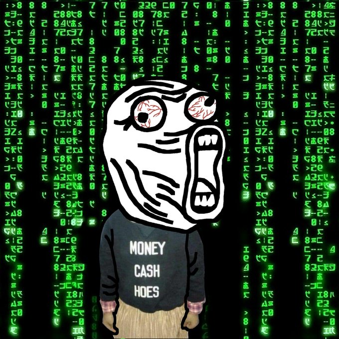A cartoon illustration of a character wearing a 'MONEY CASH HOES' sweater with a screaming/yelling face meme drawn on its head, set against a background of falling green Matrix-style code.